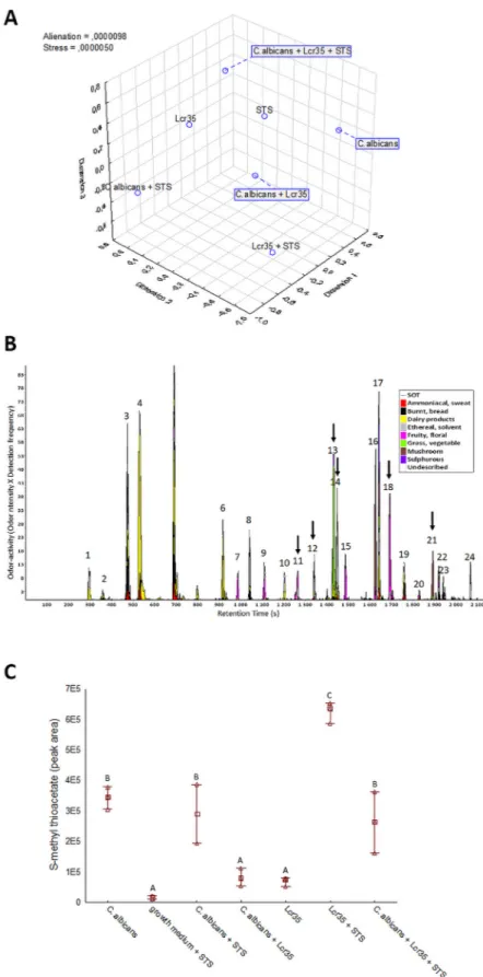 Figure 5.  Odor dissimilarity-testing and volatolomic approach indicated the involvement of S-methyl thioacetate in the Lcr35 anti- anti-Candida effect