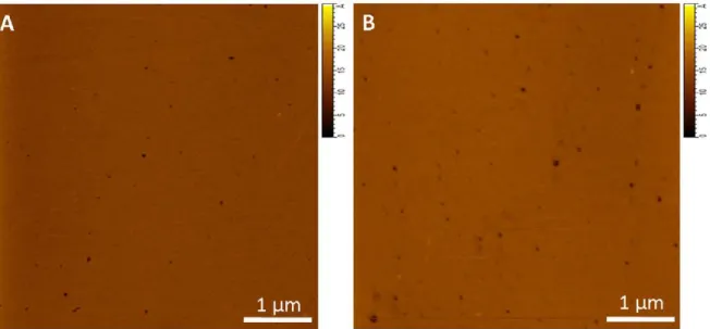 Figure 7. AFM images of lipid bilayers of DOPE/SPM with 20% nat-CHS (A) and 20% ent-CHS (B) prepared with vesicle deposition.