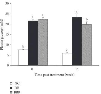 Figure 2: BBR treatment improved oral glucose tolerance in streptozotocin-induced diabetic rats