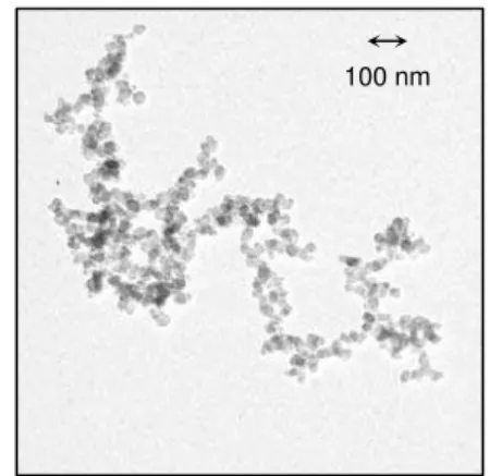 Fig. 1:  Transmission electron micrograph of  soot aggregates. 