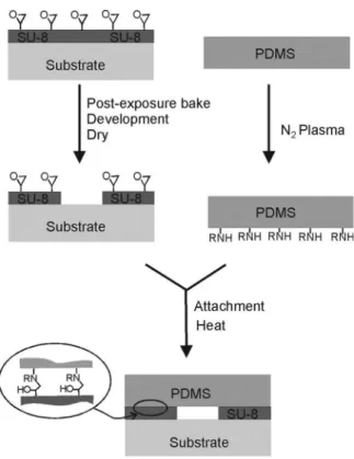 FIG. 4. The process for sealing SU-8 channels using PDMS. Chemical bonding is achieved between PDMS and SU-8.