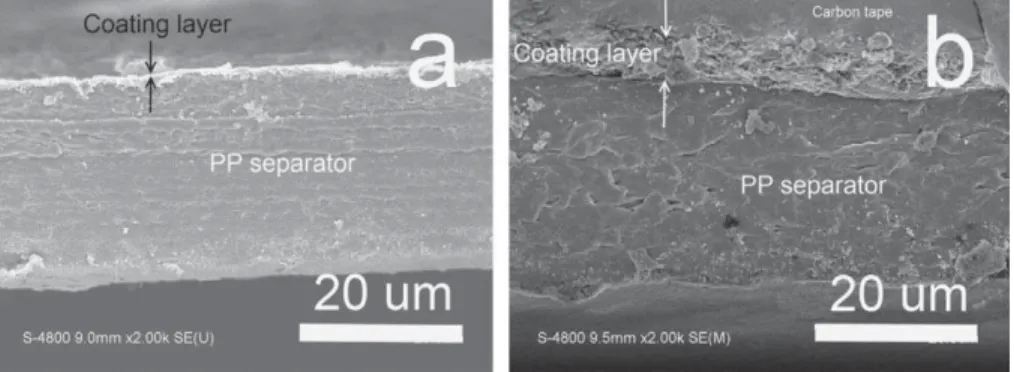 Fig. 3. SEM cross section analysis of coated samples: (a) one dip; (b) six dips.