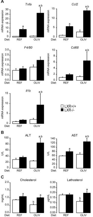Fig 4. LXR protects from hepatic damage induced by an oleic-rich diet. (A) Tnfα, Ccl2, F4/80, Cd68 and Il1β mRNA quantification assayed by qPCR