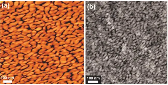Figure 3. (a) AFM tapping phase image, and (b) TEM image for triblock copolymer  membrane 3(X70) with IEC of 1.28 meq./g