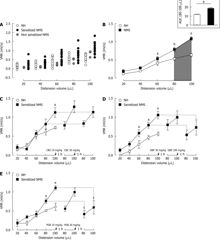 Figure 2  Mouse model of non-inflammatory colonic hypersensitivity and assessment of pregabalin, gabapentin and carbamazepine treatments