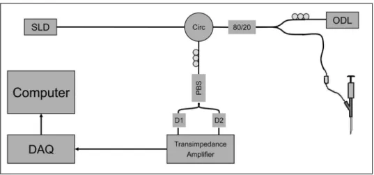 Fig. 1 Schematic of the LCI biopsy guidance instrument. A super luminescent diode 共SLD兲 is sent through a circulator 共Circ兲 and an 80/20 splitter.