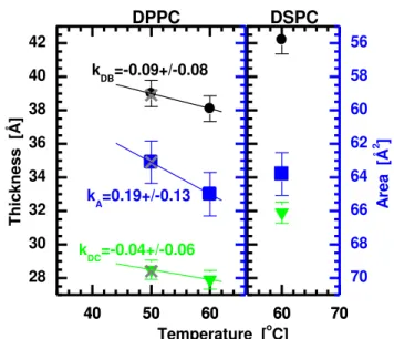 Figure  4:  Temperature  dependence  of  liquid  crystalline  DPPC  and  DSPC  bilayer  thickness  (black circles represent D B , and green triangles represent 2D C ) and lipid area (blue squares)