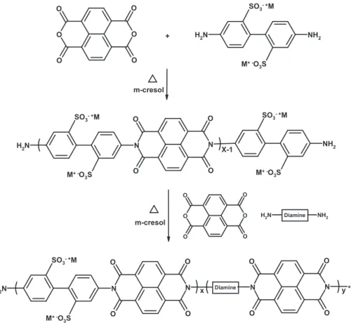 Fig. 16. Synthetic route of sulfonated poly(imide)s based on BDSA [92].