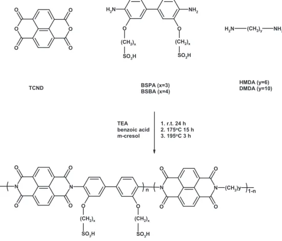 Fig. 18. Synthetic route of sulfonated aliphatic/aromatic poly(imide)s [98].