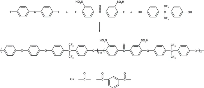 Fig. 21. Sulfonated poly(aryl ether ketone)s containing hexafluoroisopropylidene diphenyl moiety [104,105].