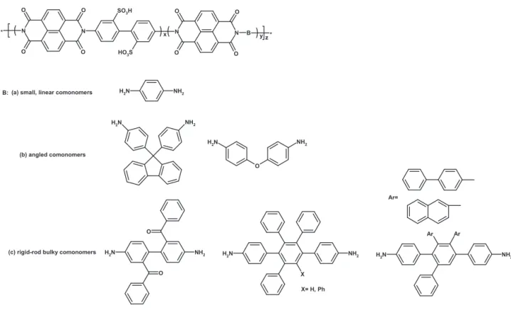Fig. 23. Chemical structure of a series of rigid-rod sulfonated polyimides [110].