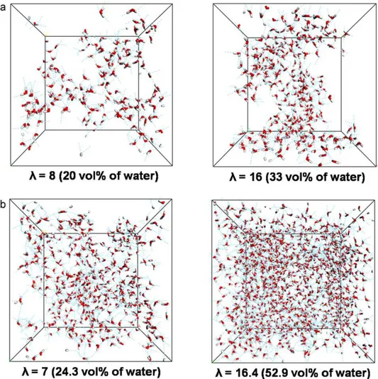 Fig. 2. Comparison of simulated water molecules distribution in (a) Nafion ® and (b) sulfonated block copolyimides (DS = 80) having the similar  values.