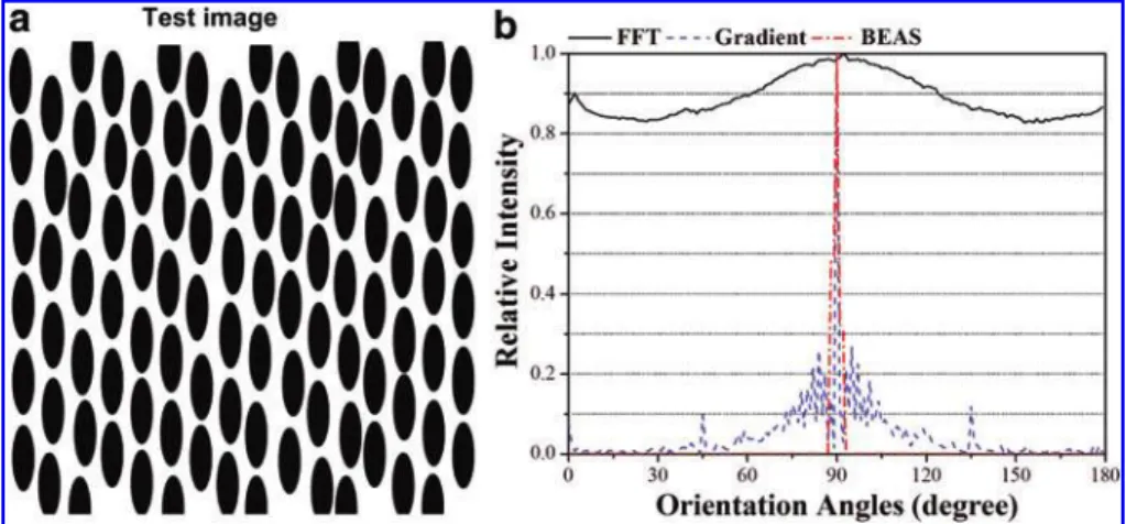 FIG. 1. Performance of existing automated methods for quantifying a test image composed of  repre-sentative cells (ellipsoid objects).