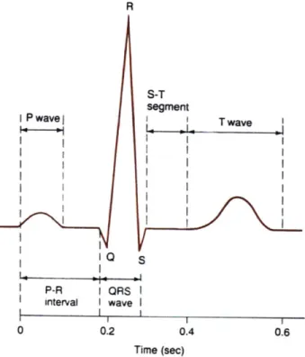 Figure  2-2:  Typical  EKG  Waveform