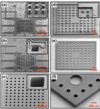 Fig. 2b depicts the top side of the TPE membrane where both  channels  (that  will  be  embedded  inside  the  final  device)  and 