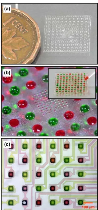 Fig.  3a  shows  an  assembled  3D  microfluidic  immobilization  device  attached  to  a  transparent  plastic  substrate