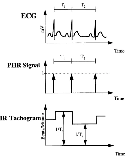 Figure 2-5:  Deriving  the heart rate tachogram and  pulsatile  heart rate signals  from electrocardiogram.