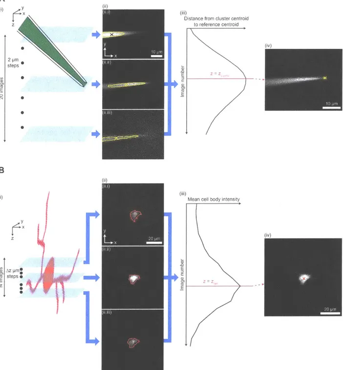 Figure 2.2.  Key  algorithms for closed-loop  real-time  image  analysis.