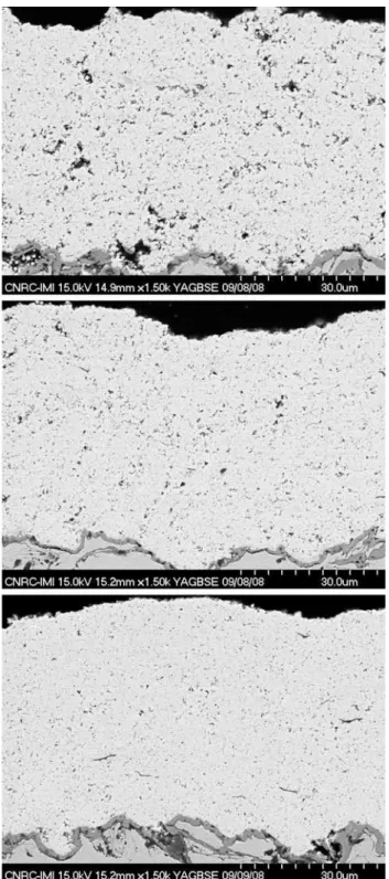 Fig. 7 SEM pictures of cross sectioned half cells
