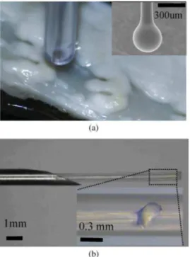 Fig. 4. (a) Opened left descending coronary tissue from a WHHLMI rabbit being scanned with the forward ball lens fiber probe protected by a plastic tube.