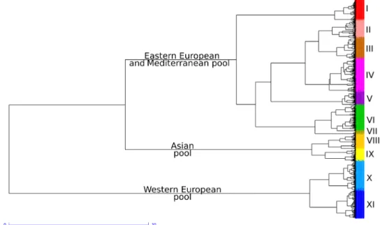 Fig. 3. Ward dendrogram showing phylogenetic relationships between 4403 wheat accessions revealed by 8741 haplotypes