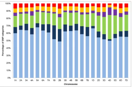 Fig 2. Proportion of TaBW280K SNP clustering categories. For each chromosomes, the percentage of each category is displayed: PHR (light blue), OTV (dark blue), MHR (green), NMH (purple), CRBT (yellow) and Others (red).