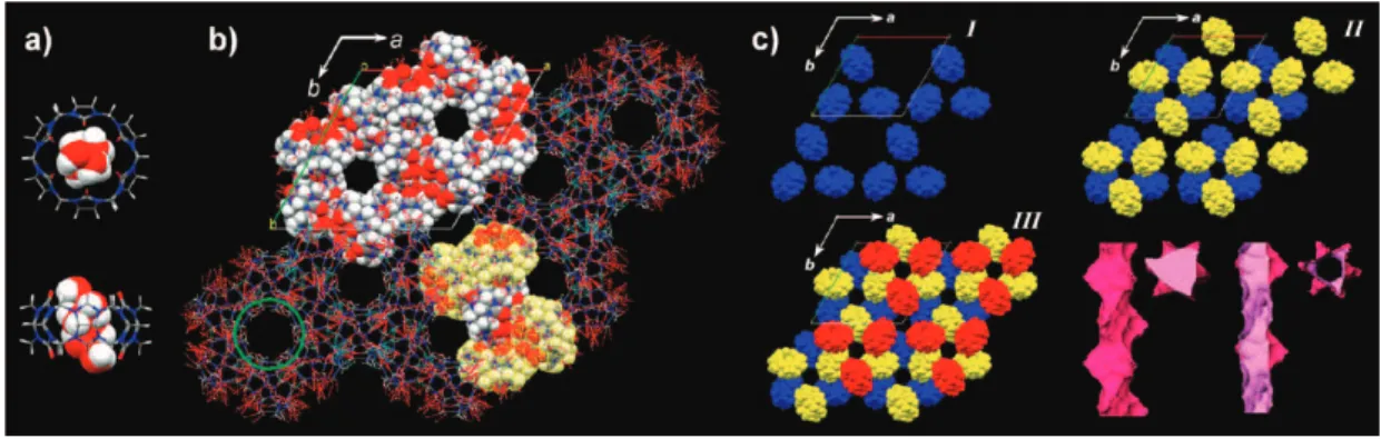 Figure 3. Structure 3, CB[6]CC. (a) Inclusion of ordered water in CB[6]. (b) The CBs are now completely self-closed by their nearest neighbors by means of multiple CH 3 3 3 O interactions (see the four macrocycles highlighted in yellow) and form a honeycom