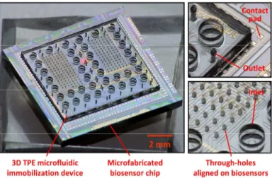 Figure 6:    Images of a 3D TPE microfluidic immobilization  device aligned on a microfabricated biosensor chip  compris-ing two hundred of detection elements