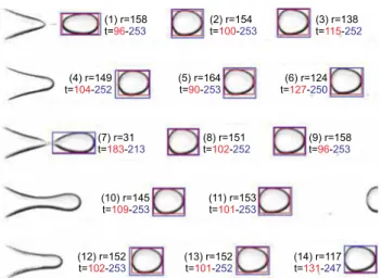 Figure 8 shows the result of our automated BTVS opera- opera-tion applied on a video capturing the droplet formaopera-tion