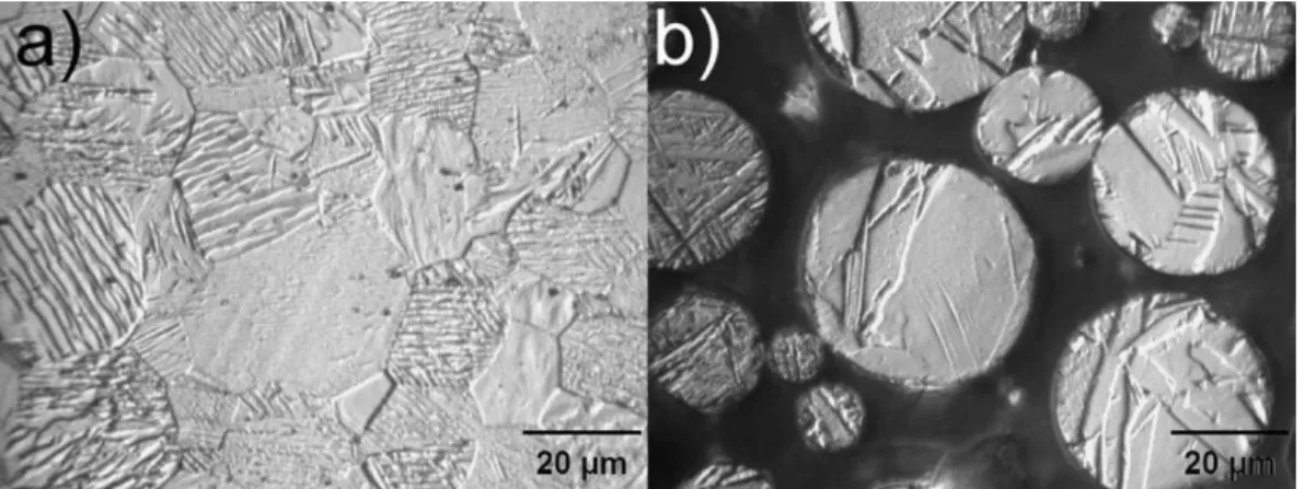 Fig. 1. Etched images (LOM) of (a) bulk Ti plate and (b) feedstock Ti powder. Acicular Ti microstructure was observed in feedstock powder and in the bulk Ti plate.