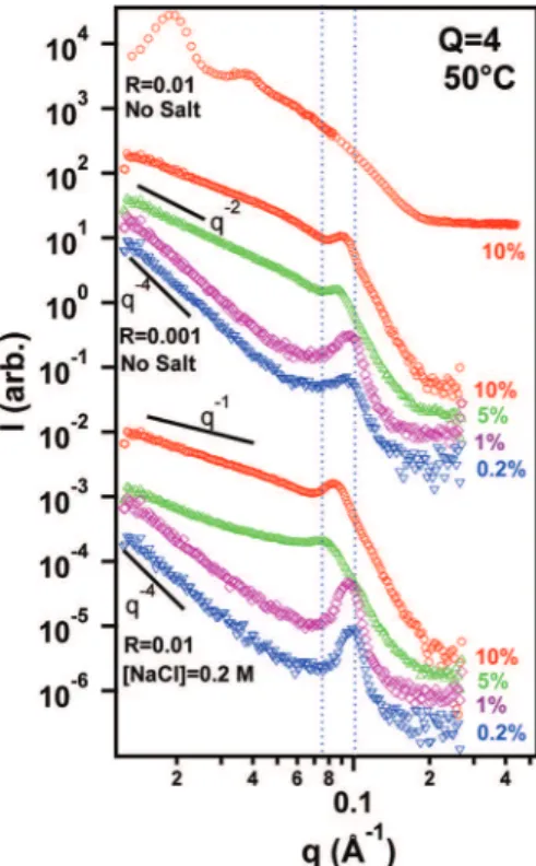 Figure 3. SANS data of C lp = 10% Q = 4 samples undergoing high-T dilution and measured at 50 C