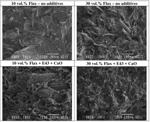 Figure 10. SEM microstructural details of fracture surface of injected samples PP/30 vol.% flax