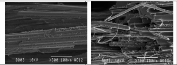 Figure 4 demonstrates that glass fibre composite  failure was mainly conducted by fibre/matrix  adhesion