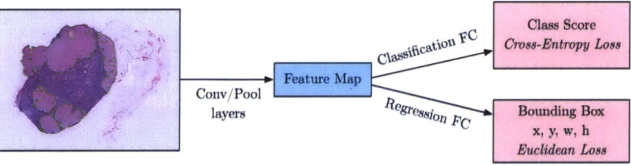 Figure  4-2:  Architecture  of  the  Bounding  Box  Regressor  Network.  The  final  fully- fully-connected  layers  in the  original  network  are modified  to introduce  an  additional  head trained  with  Euclidean  loss.