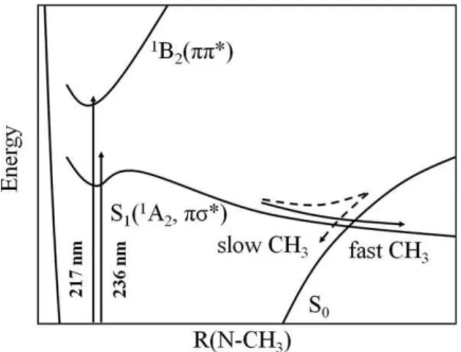 Fig. 4 Schematic potential energy curves for the ground state and two singlet excited states of NMP plotted as a function of R(N-CH 3 )