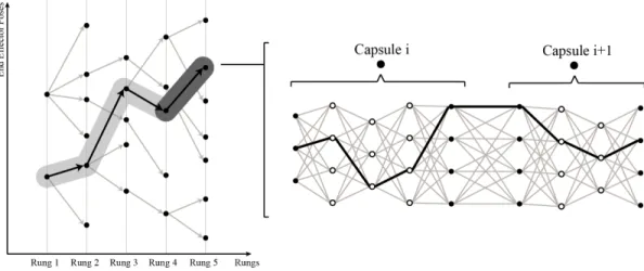 Figure 2-6: Demonstration on applying RRT* on sparse ladder graph. The optimal capsule path is highlighted and expansion of two adjacent capsules is depicted.