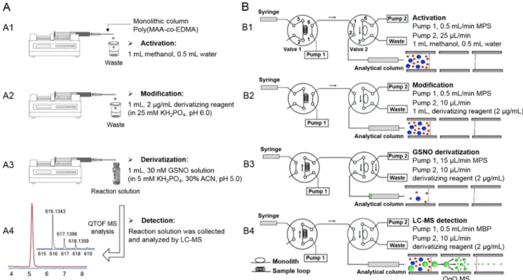 Figure 1. Experimental setup and conﬁgurations of (A) the oﬄine SPD with LC-MS and (B) automated online SPD-LC-MS for the analysis of GSNO