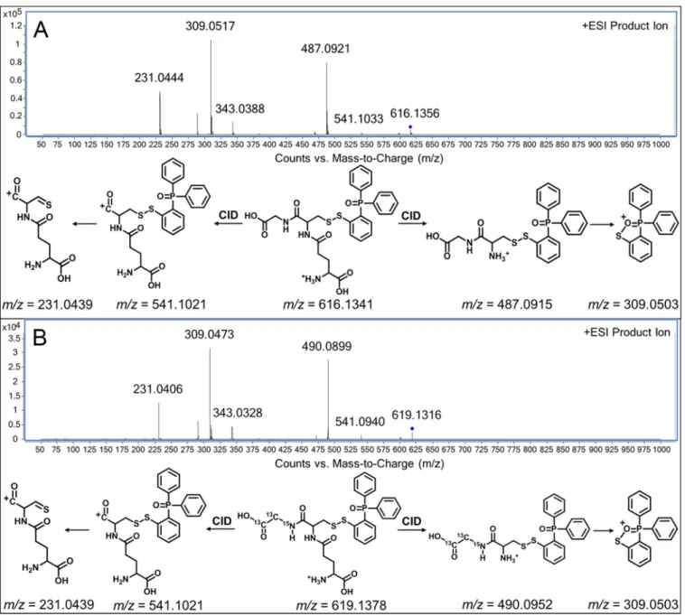 Figure 4. E ﬀ ects of (A) the pH value, (B) the ionic strength, and (C) the organic solvent content of the sample loading solution on GSNO derivatization reaction.