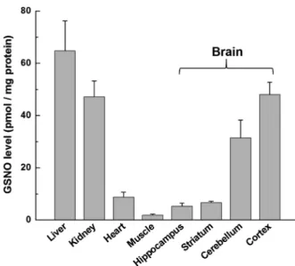 Figure 7. Pro ﬁ ling of GSNO levels in 7-week old C57BL/6NTac mouse tissues, including the liver, kidney, heart, muscle, and brain (hippocampus, striatum, cerebellum, cortex)