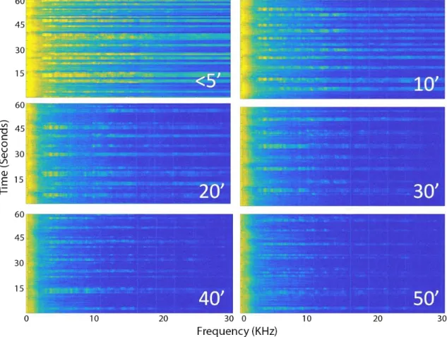 Figure 3-6: Diver Signature as a Function of Range with Low Background Noise. 31 October 2018.