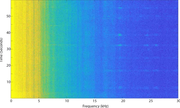 Figure 3-10: Spectrogram with Divers Only Detectable above 15 kHz. 04 January 2019.