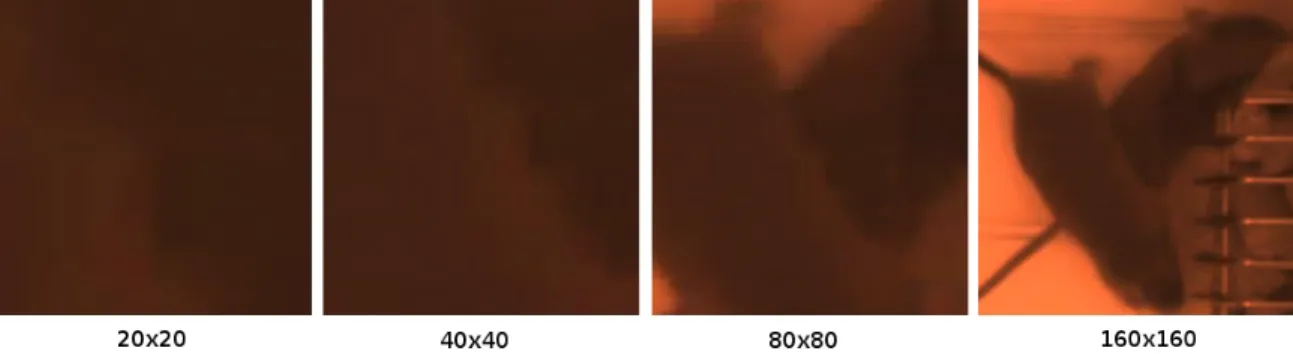 Figure 4-5: Each image from left to right doubles the patch size over the same mouse- mouse-to-mouse boundary, illustrating the challenge of detecting this boundary