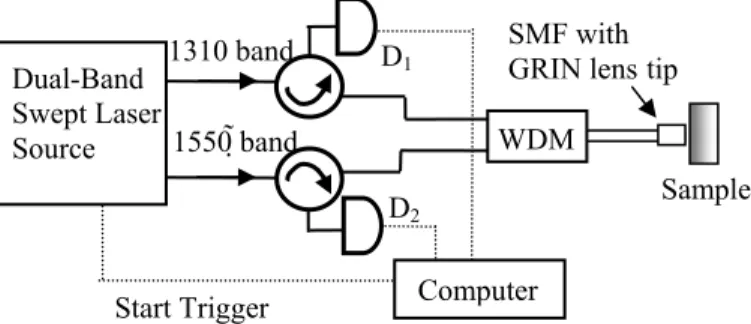 Fig. 2. Schematic diagram of our fiber-based dual-band common-path SS-OCT system. D: detector