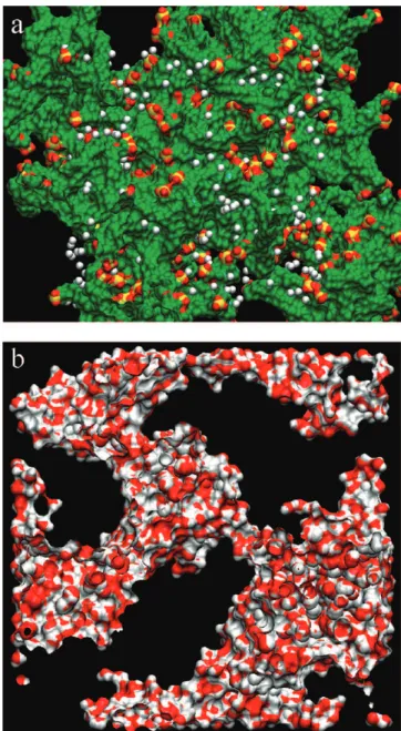 Figure 6. (a) Snapshot of O 2 in hydrated Na ﬁ on membrane with a constant water content of λ = 12 at 353.15 K