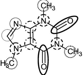 Figure 2-3: Example of deconstructing  a molecule  into its functional groups: cyclic ketone (thick solid line),  cyclic tertiary amine  (thick dashed line), methyl (dotted  line), cyclic =C<  (dash-dotted