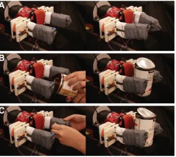 Fig. 5. Objects used to evaluate the classifier. (A) and (B) were used to test a stationary gripper, while (C) were objects used in the full recycling setup