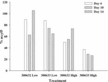 FIG. 3. Percentages of mcyD KS copies relative to a pure culture of UTCC 300 for the mixed cultures of UTCC 300 plus 632 and UTCC 300 plus 633 grown under conditions of low and high light intensity.