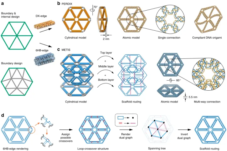 Fig. 1 Design of 2D wireframe scaffolded DNA origami objects with DX and 6HB edges. a Arbitrary target geometries can be speci ﬁ ed as input in one of two ways: Boundary and internal design, specifying the complete internal and boundary geometry using piec