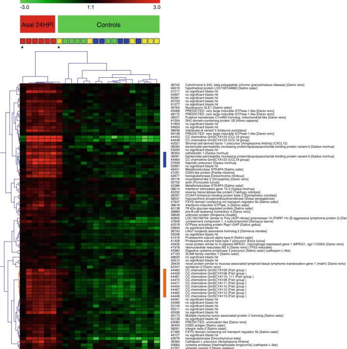 Fig. 3 Hierarchical clustering of 82 probes that are responsive to stimulation with formalin-killed, atypical A
