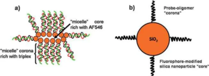 Fig. 1 The principles of the biosensing mechanism, where the surface of the nanoparticle is modified with AF546 in architecture A (a) and the AF546 is localized on the streptavidin anchor near the  oligomer/poly-thiophene in architecture B (b).